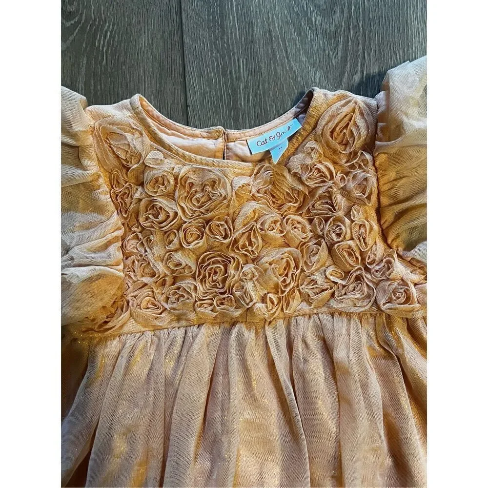 Cat & Jack Girls Size 3T Casual Dress Peach Pink Fir Flare Tulle Sleeve